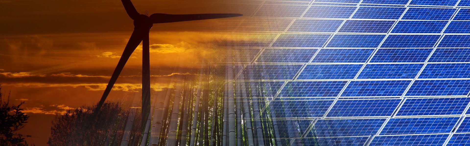 las pokazany z góry ze znakiem recyklingu